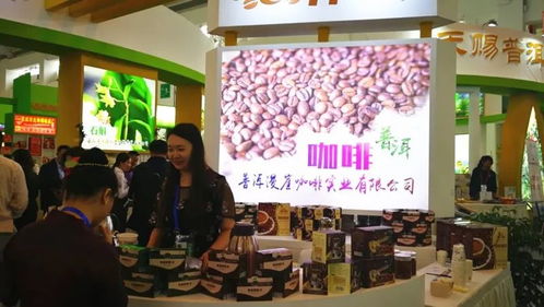 普洱市組團(tuán)參加第五屆中國—南亞博覽會(huì)暨第二十五屆中國昆明進(jìn)出口商品交易會(huì)，會(huì)議及展覽服務(wù)全面升級(jí)